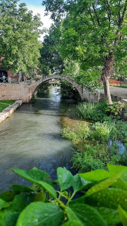Aromas Del Jiloca, Tierra De Trufas Apartment Каламоча Екстериор снимка